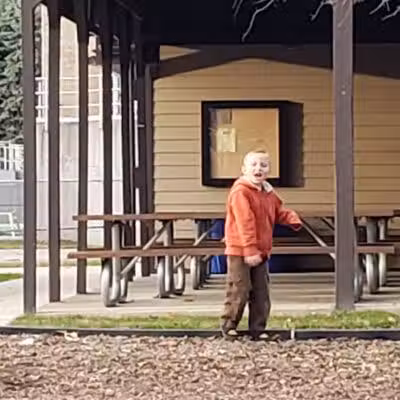 Almont Village Park - Almont,