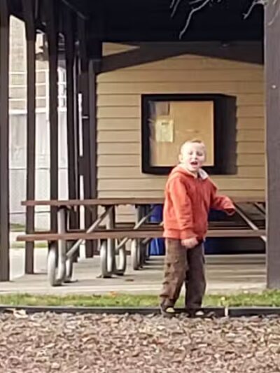 Almont Village Park - Almont,