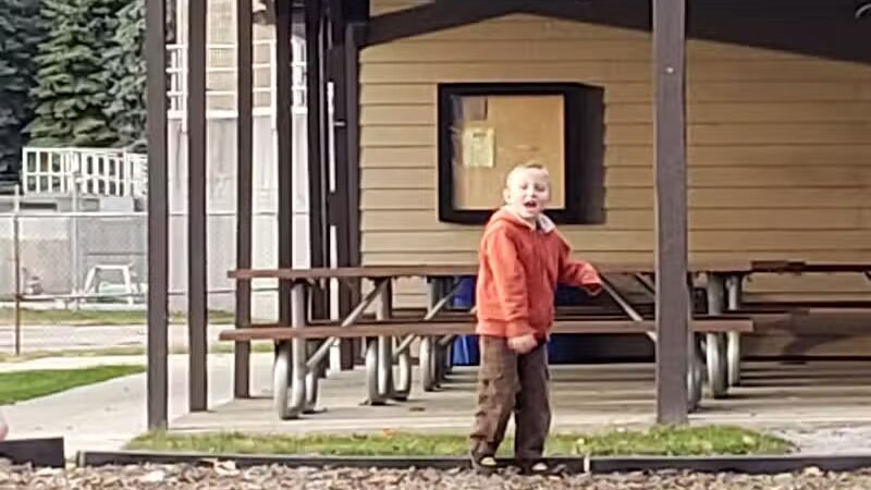 Almont Village Park - Almont,