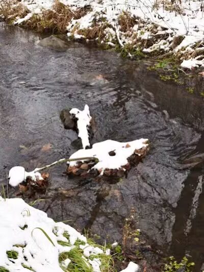 Almont Village Park - Almont,