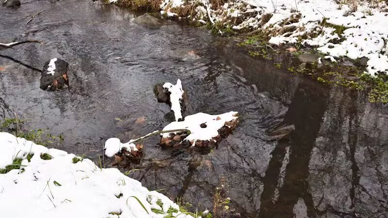 Almont Village Park - Almont,