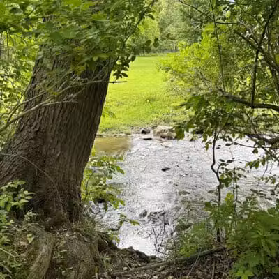 Almont Village Park - Almont,