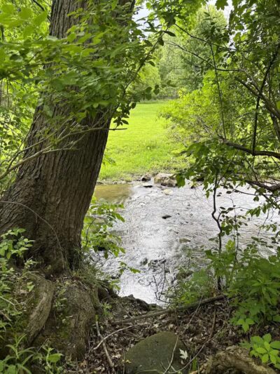 Almont Village Park - Almont,