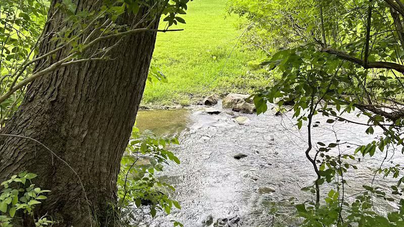 Almont Village Park - Almont,