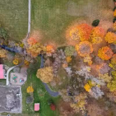 Almont Village Park - Almont,