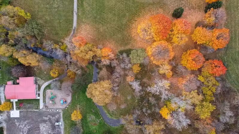Almont Village Park - Almont,