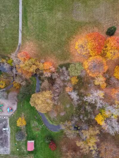 Almont Village Park - Almont,