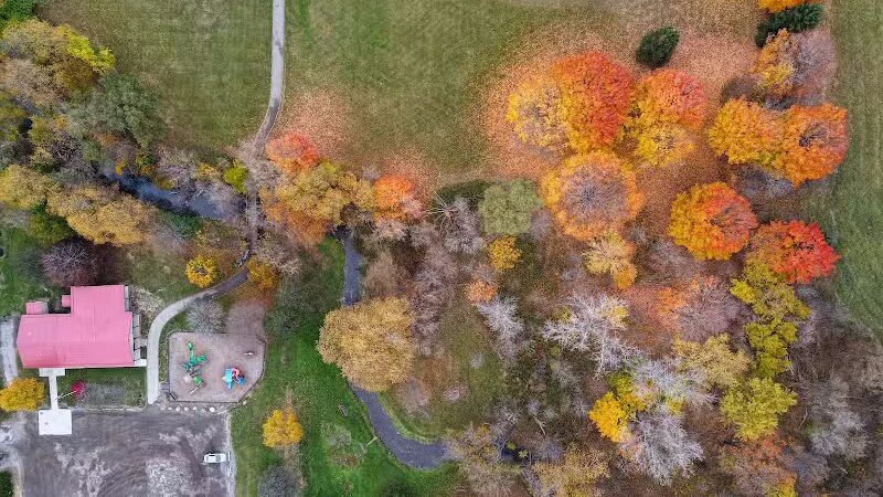 Almont Village Park - Almont,