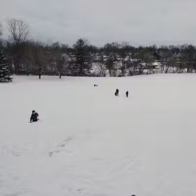 Almont Village Park - Almont,