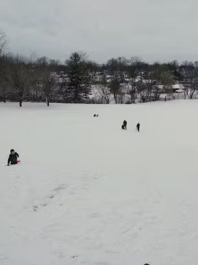 Almont Village Park - Almont,