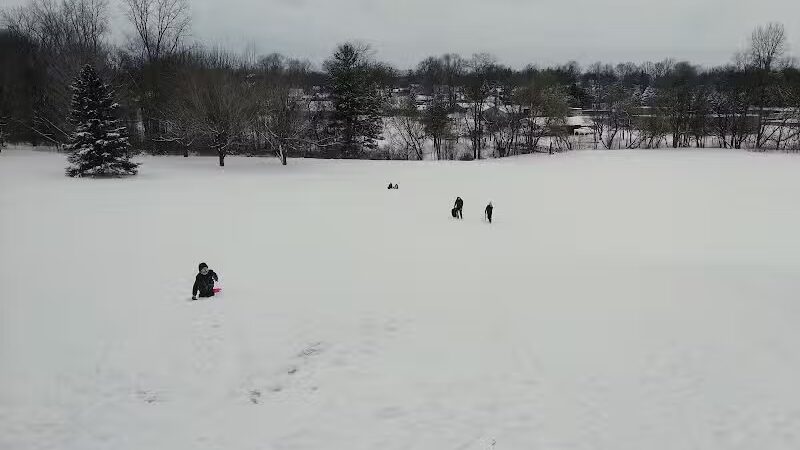 Almont Village Park - Almont,