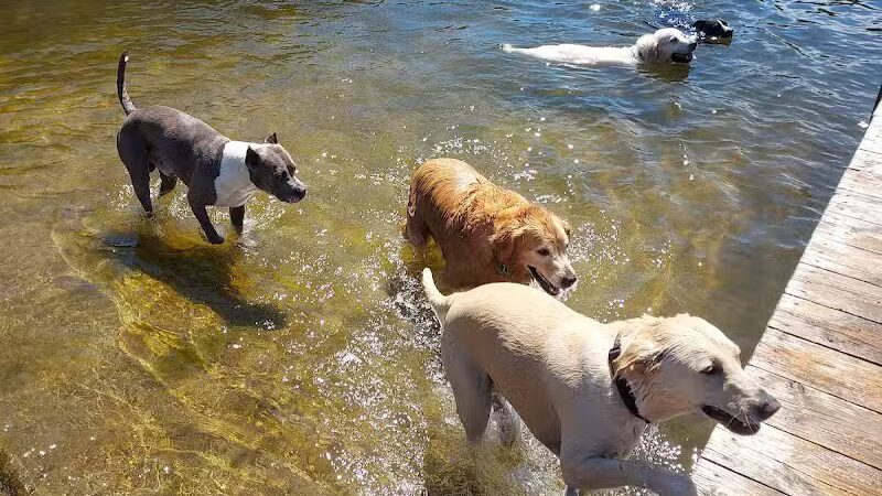 Thomas Stafford Dog Park - Alpena, MI