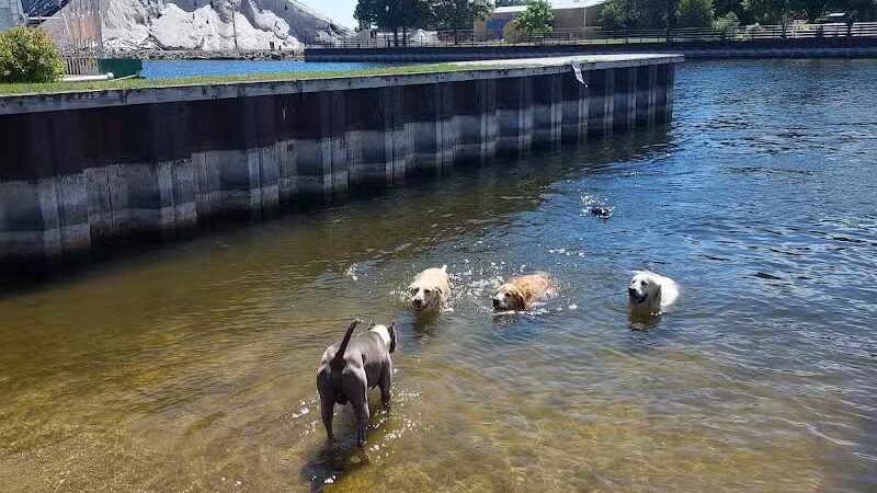 Thomas Stafford Dog Park - Alpena, MI
