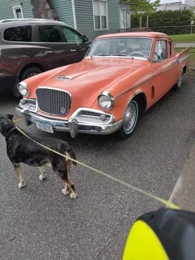 Thomas Stafford Dog Park - Alpena, MI