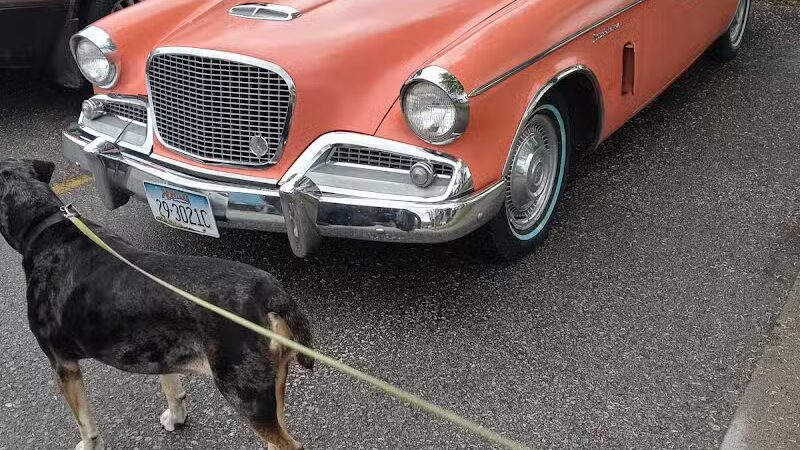 Thomas Stafford Dog Park - Alpena, MI