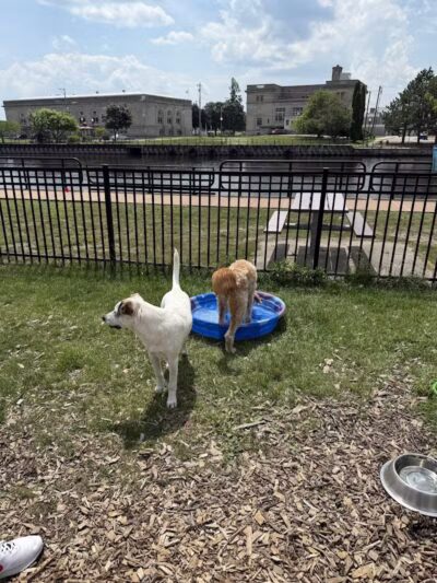 Thomas Stafford Dog Park - Alpena, MI