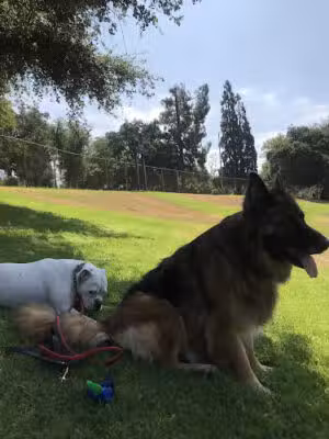 Charles S. Farnsworth Park - Altadena, CA