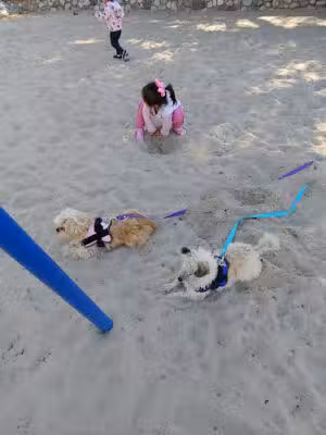 Charles White Park - Altadena, CA