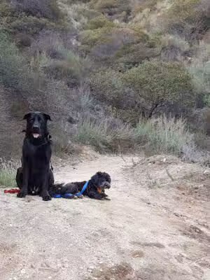 Cobb Estate Trailhead Echo Mt - Altadena, CA