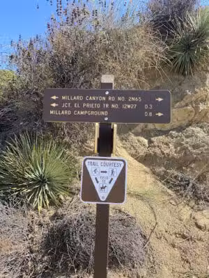 Millard canyon - Altadena, CA