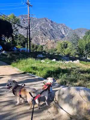 Mount Lowe Park - Altadena, CA