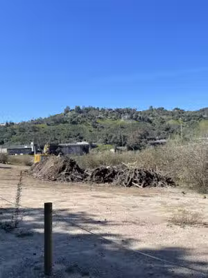 Riparian Zone - Altadena, CA