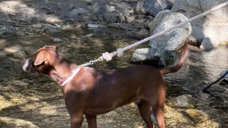 Gabrielino Trail Western Trailhead - Altadena, CA