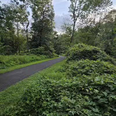 Kohler Park - Ambler, PA