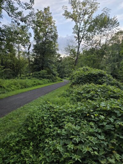 Kohler Park - Ambler, PA