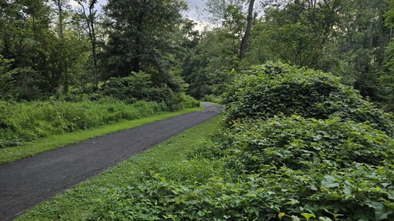 Kohler Park - Ambler, PA