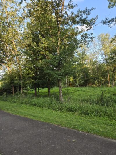 Kohler Park - Ambler, PA