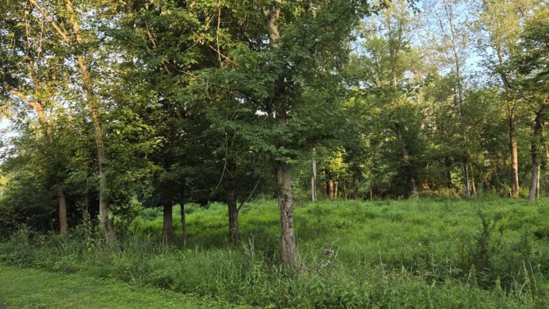 Kohler Park - Ambler, PA