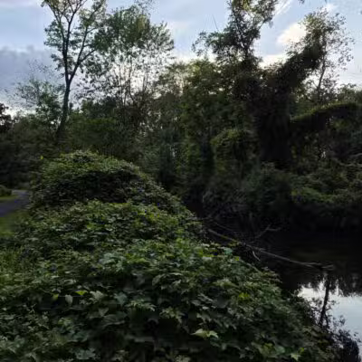 Kohler Park - Ambler, PA