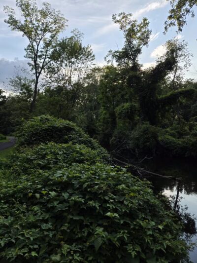 Kohler Park - Ambler, PA