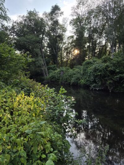 Kohler Park - Ambler, PA