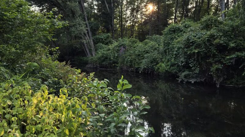 Kohler Park - Ambler, PA