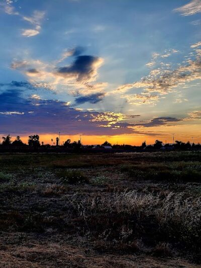 Dog Park - American Canyon, CA