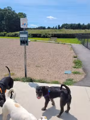 Amherst Dog Park - Amherst, MA