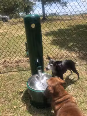 Andalusia Dog Park - Andalusia, AL