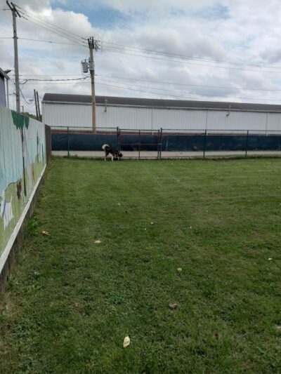 Canine Corral - Anderson, IN