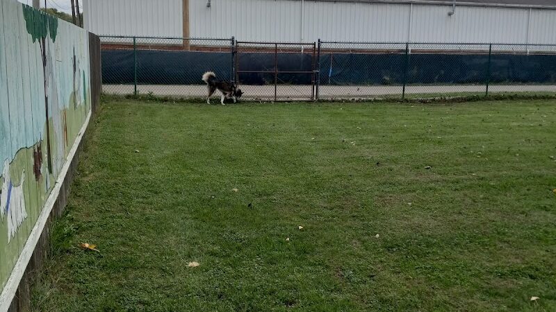 Canine Corral - Anderson, IN
