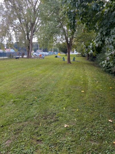 Canine Corral - Anderson, IN