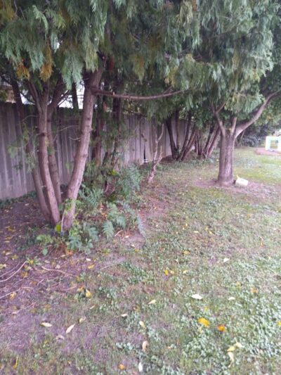 Canine Corral - Anderson, IN