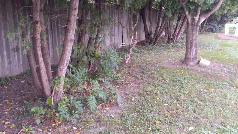 Canine Corral - Anderson, IN