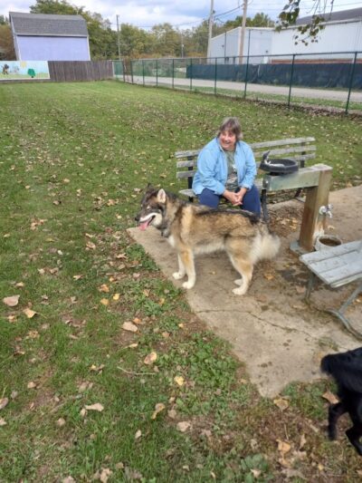 Canine Corral - Anderson, IN