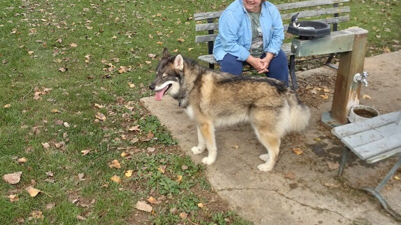 Canine Corral - Anderson, IN