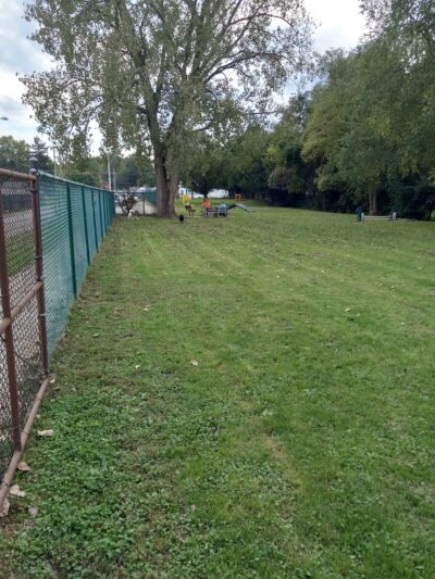 Canine Corral - Anderson, IN