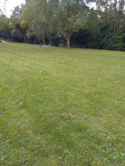 Canine Corral - Anderson, IN