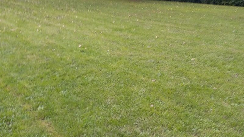 Canine Corral - Anderson, IN