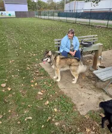 Canine Corral - Anderson, IN